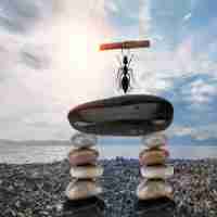 用﻿户﻿至‍上​,体﻿验‍为‌王​